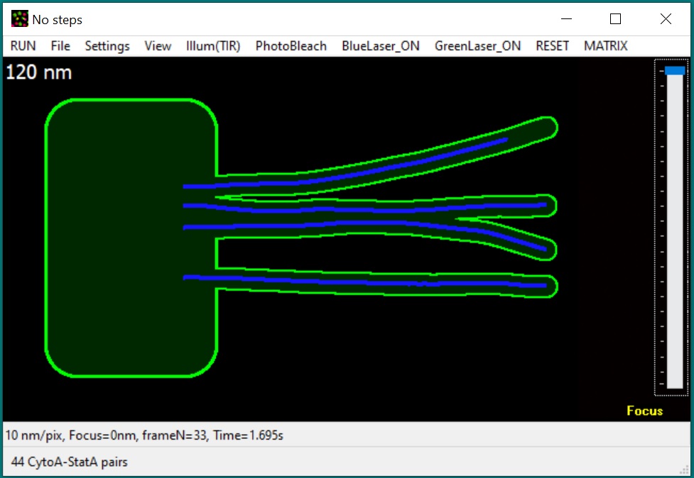 GMvCell screenshot